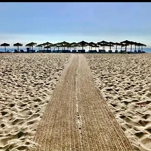  Apartamento En En 1° Línea De Playa